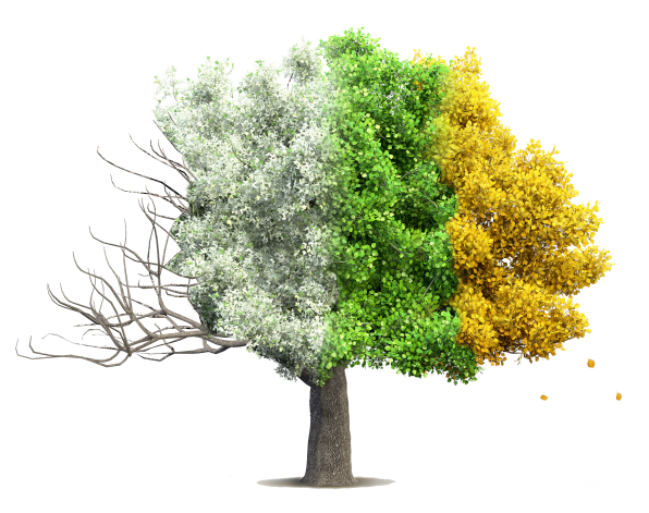 Four Season's Land Surveying Logo
